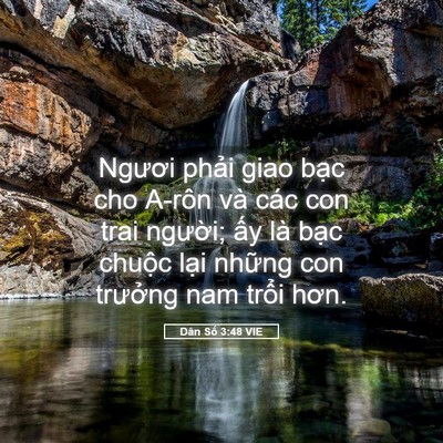Picture 05 - Dân Số 3:48 VIE - Ngươi phải giao bạc cho A-rôn và các con - Bible Verse Picture