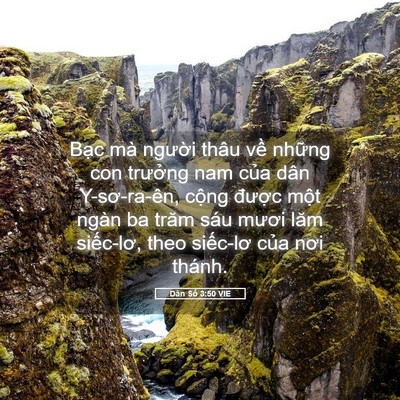 Picture 05 - Dân Số 3:50 VIE - Bạc mà người thâu về những con - Bible Verse Picture