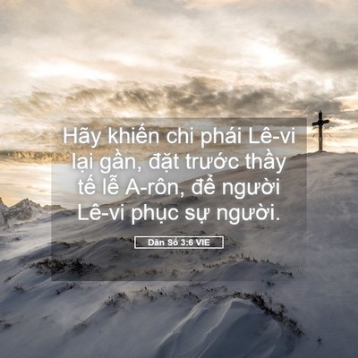 Picture 05 - Dân Số 3:6 VIE - Hãy khiến chi phái Lê-vi lại gần, đặt - Bible Verse Picture