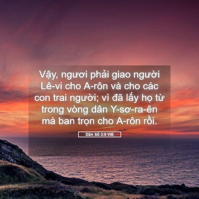 Picture 05 - Dân Số 3:9 VIE - Vậy, ngươi phải giao người Lê-vi cho - Bible Verse Picture