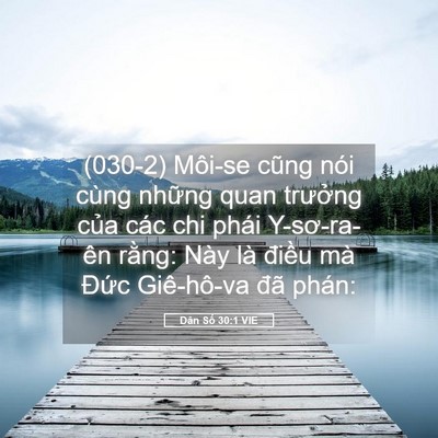 Picture 05 - Dân Số 30:1 VIE - (030-2) Môi-se cũng nói cùng những quan - Bible Verse Picture