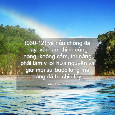 Picture 05 - Dân Số 30:11 VIE - (030-12) và nếu chồng đã hay, vẫn làm - Bible Verse Picture