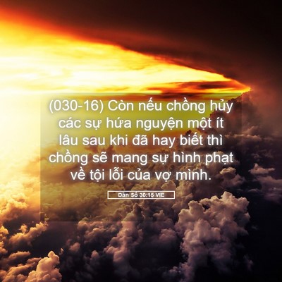 Picture 05 - Dân Số 30:15 VIE - (030-16) Còn nếu chồng hủy các sự hứa - Bible Verse Picture