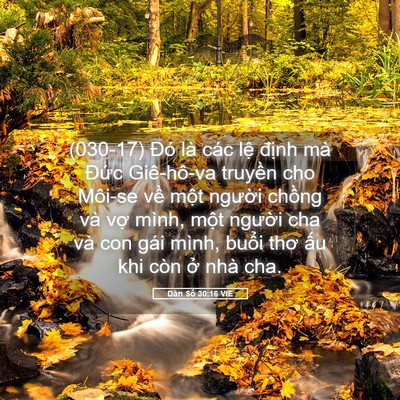 Picture 05 - Dân Số 30:16 VIE - (030-17) Đó là các lệ định mà Đức - Bible Verse Picture