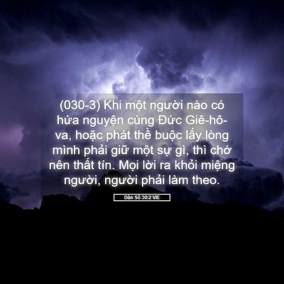 Picture 05 - Dân Số 30:2 VIE - (030-3) Khi một người nào có hứa - Bible Verse Picture