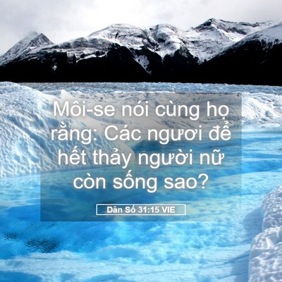 Picture 05 - Dân Số 31:15 VIE - Môi-se nói cùng họ rằng: Các ngươi - Bible Verse Picture