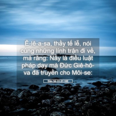 Picture 05 - Dân Số 31:21 VIE - Ê-lê-a-sa, thầy tế lễ, nói cùng những - Bible Verse Picture