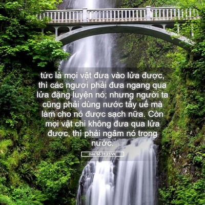 Picture 05 - Dân Số 31:23 VIE - tức là mọi vật đưa vào lửa được, - Bible Verse Picture