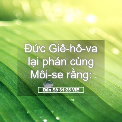 Picture 05 - Dân Số 31:25 VIE - Đức Giê-hô-va lại phán cùng Môi-se - Bible Verse Picture