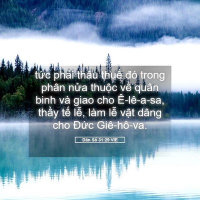 Picture 05 - Dân Số 31:29 VIE - tức phải thâu thuế đó trong phân nửa - Bible Verse Picture