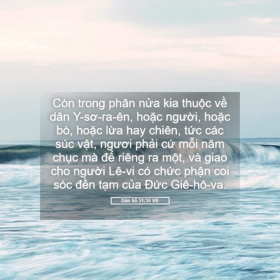 Picture 05 - Dân Số 31:30 VIE - Còn trong phân nửa kia thuộc về dân - Bible Verse Picture