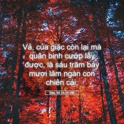 Picture 05 - Dân Số 31:32 VIE - Vả, của giặc còn lại mà quân binh - Bible Verse Picture