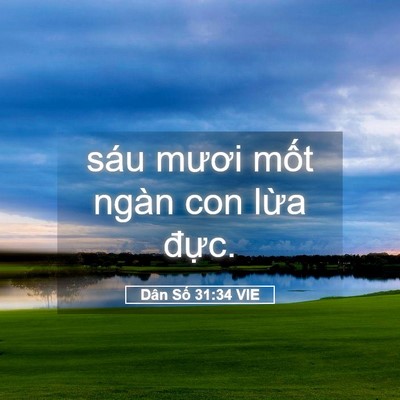 Picture 05 - Dân Số 31:34 VIE - sáu mươi mốt ngàn con lừa - Bible Verse Picture