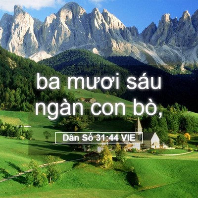 Picture 05 - Dân Số 31:44 VIE - ba mươi sáu ngàn con - Bible Verse Picture