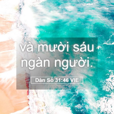 Picture 05 - Dân Số 31:46 VIE - và mười sáu ngàn - Bible Verse Picture