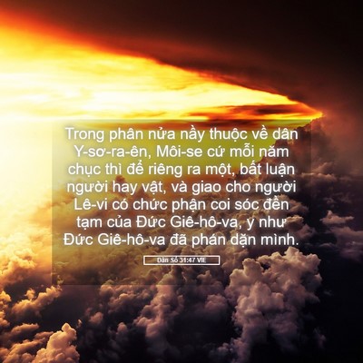 Picture 05 - Dân Số 31:47 VIE - Trong phân nửa nầy thuộc về dân - Bible Verse Picture