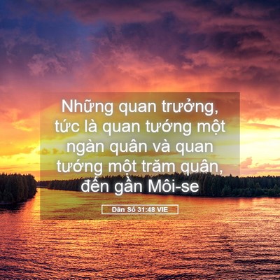 Picture 05 - Dân Số 31:48 VIE - Những quan trưởng, tức là quan tướng - Bible Verse Picture
