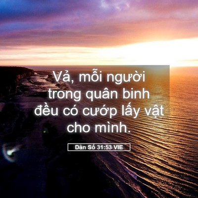 Picture 05 - Dân Số 31:53 VIE - Vả, mỗi người trong quân binh đều có - Bible Verse Picture