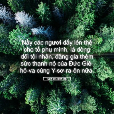 Picture 05 - Dân Số 32:14 VIE - Nầy các ngươi dấy lên thế cho tổ - Bible Verse Picture