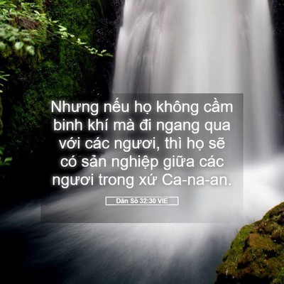 Picture 05 - Dân Số 32:30 VIE - Nhưng nếu họ không cầm binh khí mà đi - Bible Verse Picture