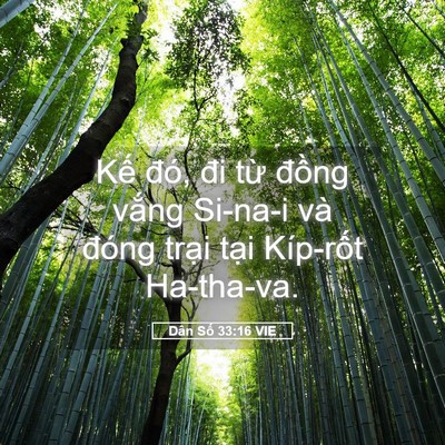 Picture 05 - Dân Số 33:16 VIE - Kế đó, đi từ đồng vắng Si-na-i và - Bible Verse Picture