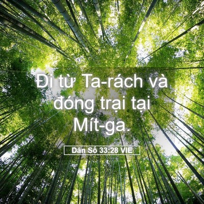 Picture 05 - Dân Số 33:28 VIE - Đi từ Ta-rách và đóng trại tại - Bible Verse Picture