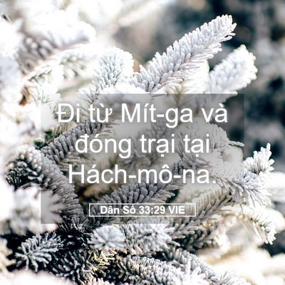 Picture 05 - Dân Số 33:29 VIE - Đi từ Mít-ga và đóng trại tại - Bible Verse Picture