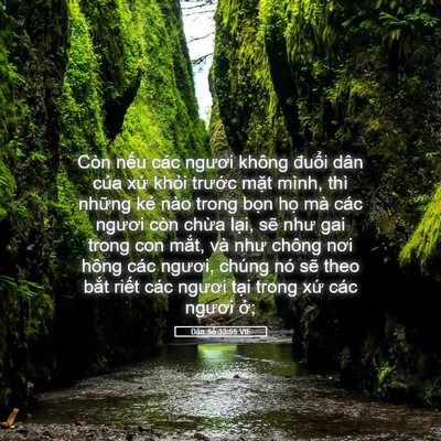 Picture 05 - Dân Số 33:55 VIE - Còn nếu các ngươi không đuổi dân của - Bible Verse Picture