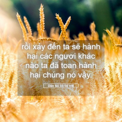 Picture 05 - Dân Số 33:56 VIE - rồi xảy đến ta sẽ hành hại các - Bible Verse Picture