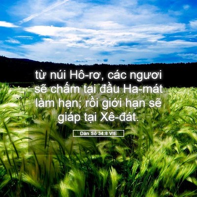 Picture 05 - Dân Số 34:8 VIE - từ núi Hô-rơ, các ngươi sẽ chấm tại - Bible Verse Picture
