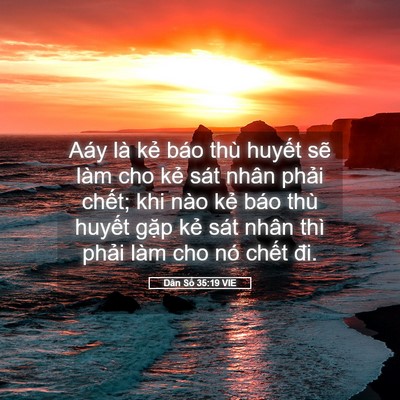 Picture 05 - Dân Số 35:19 VIE - Aáy là kẻ báo thù huyết sẽ làm cho - Bible Verse Picture