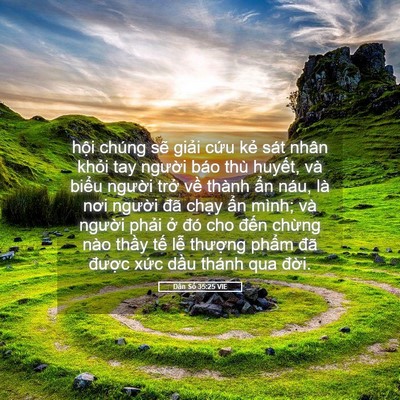 Picture 05 - Dân Số 35:25 VIE - hội chúng sẽ giải cứu kẻ sát nhân - Bible Verse Picture