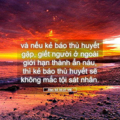 Picture 05 - Dân Số 35:27 VIE - và nếu kẻ báo thù huyết gặp, giết - Bible Verse Picture