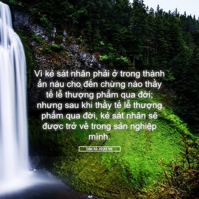 Picture 05 - Dân Số 35:28 VIE - Vì kẻ sát nhân phải ở trong thành ẩn - Bible Verse Picture