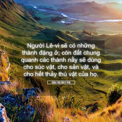 Picture 05 - Dân Số 35:3 VIE - Người Lê-vi sẽ có những thành đặng - Bible Verse Picture