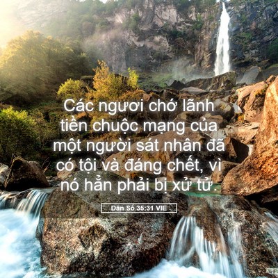 Picture 05 - Dân Số 35:31 VIE - Các ngươi chớ lãnh tiền chuộc mạng - Bible Verse Picture