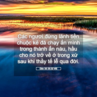 Picture 05 - Dân Số 35:32 VIE - Các ngươi đừng lãnh tiền chuộc kẻ - Bible Verse Picture