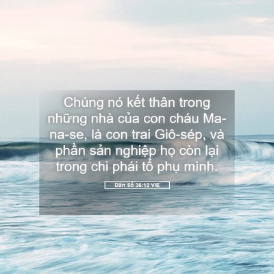 Picture 05 - Dân Số 36:12 VIE - Chúng nó kết thân trong những nhà của - Bible Verse Picture