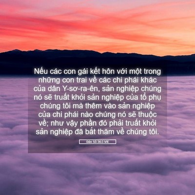 Picture 05 - Dân Số 36:3 VIE - Nếu các con gái kết hôn với một trong - Bible Verse Picture