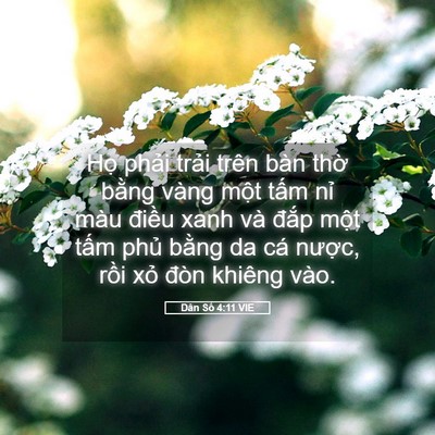 Picture 05 - Dân Số 4:11 VIE - Họ phải trải trên bàn thờ bằng vàng - Bible Verse Picture