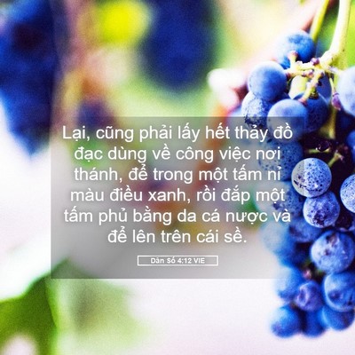 Picture 05 - Dân Số 4:12 VIE - Lại, cũng phải lấy hết thảy đồ - Bible Verse Picture