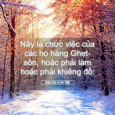 Picture 05 - Dân Số 4:24 VIE - Nầy là chức việc của các họ hàng - Bible Verse Picture
