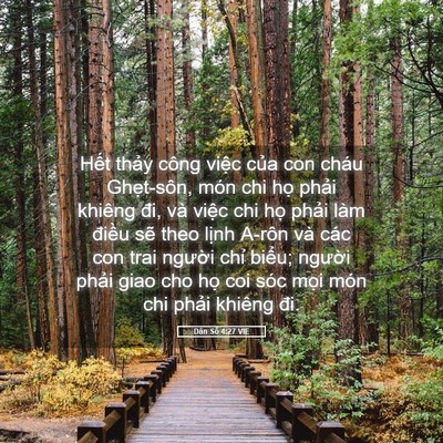 Picture 05 - Dân Số 4:27 VIE - Hết thảy công việc của con cháu - Bible Verse Picture