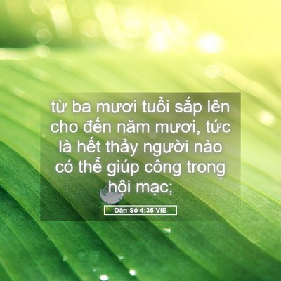 Picture 05 - Dân Số 4:35 VIE - từ ba mươi tuổi sắp lên cho đến năm - Bible Verse Picture