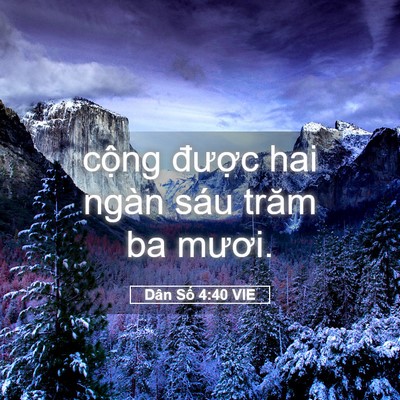 Picture 05 - Dân Số 4:40 VIE - cộng được hai ngàn sáu trăm ba - Bible Verse Picture