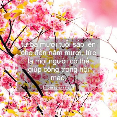 Picture 05 - Dân Số 4:43 VIE - từ ba mươi tuổi sắp lên cho đến năm - Bible Verse Picture