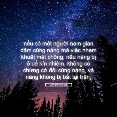 Picture 05 - Dân Số 5:13 VIE - nếu có một người nam gian dâm cùng - Bible Verse Picture
