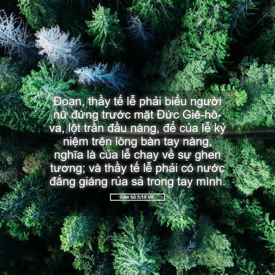 Picture 05 - Dân Số 5:18 VIE - Đoạn, thầy tế lễ phải biểu người - Bible Verse Picture
