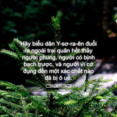 Picture 05 - Dân Số 5:2 VIE - Hãy biểu dân Y-sơ-ra-ên đuổi ra ngoài - Bible Verse Picture
