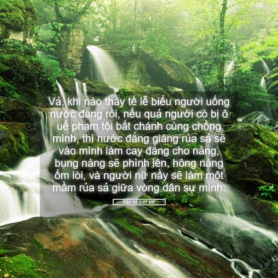 Picture 05 - Dân Số 5:27 VIE - Vả, khi nào thầy tế lễ biểu người - Bible Verse Picture